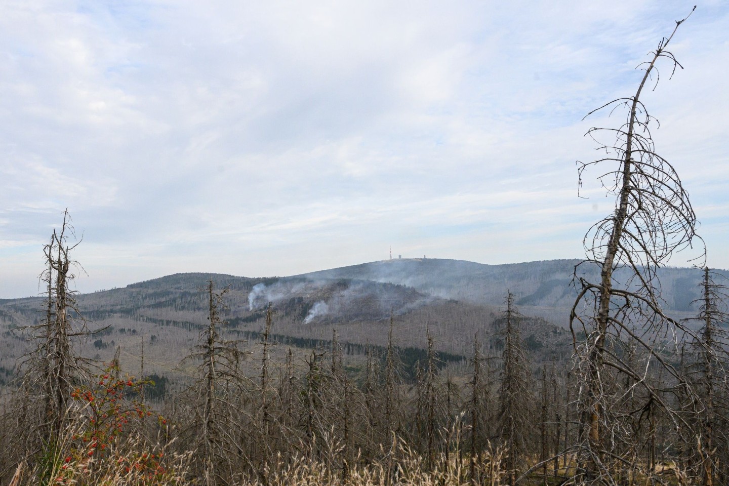 Es gibt noch mehrere Brandstellen am Brocken (Foto aktuell).