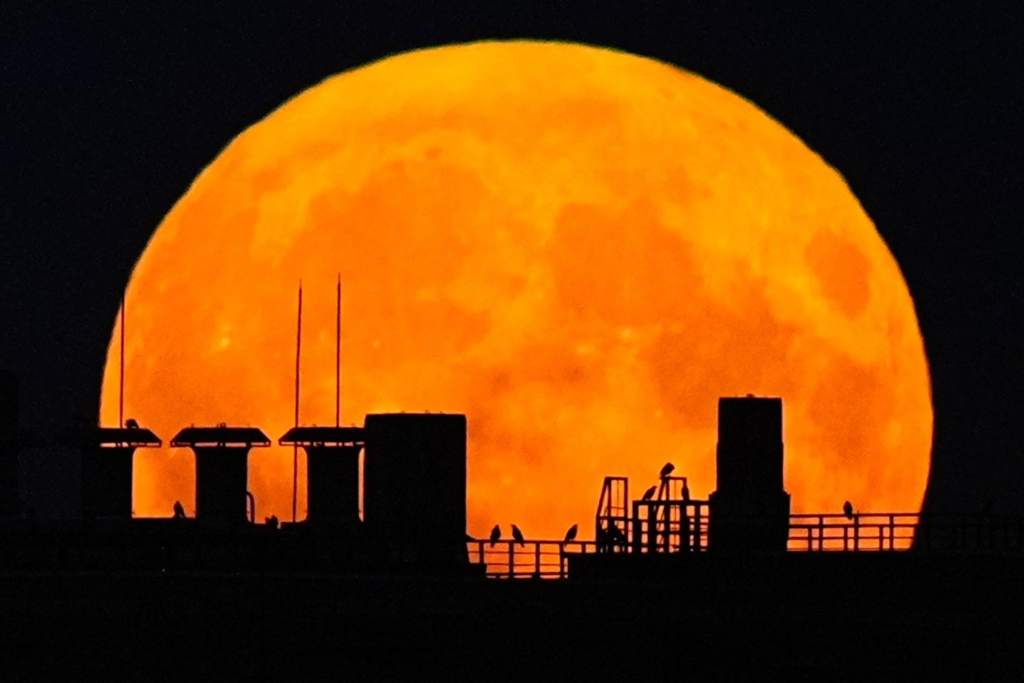 Ein Supermond geht über einem Wohnhaus auf.