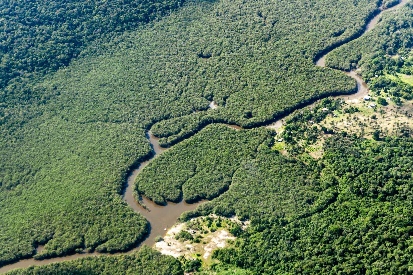 Der Amazonas-Regenwald wird als «grüne Lunge der Erde» bezeichnet, weil er große Mengen Kohlendioxid absorbiert und Sauerstoff produziert. (Archivbild)